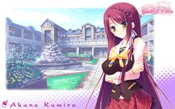 kamira akane from sugirly wish