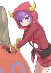 camerupt from pokemon