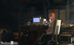 makise kurisu from steins;gate