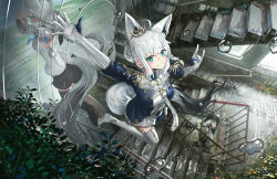shirakami fubuki from hololive
