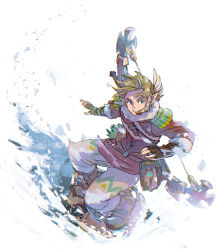 link from the legend of zelda