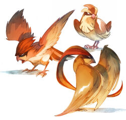 pidgeot from pokemon