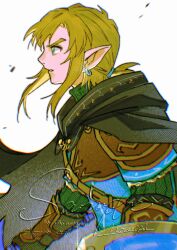 link from the legend of zelda by mouyi