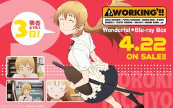 todoroki yachiyo from working!!