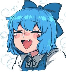 cirno from touhou by spacezin