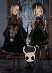 knight (hollow knight) from bloodborne