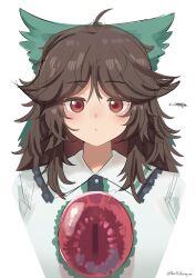 reiuji utsuho from touhou