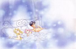chiba mamoru from bishoujo senshi sailor moon by takeuchi naoko