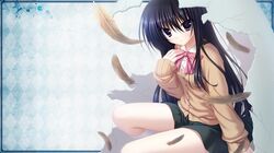 dare ga koroshita komadori wo fan art