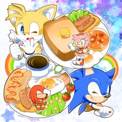 amy rose from sonic (series)