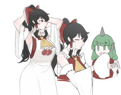 hakurei reimu from touhou