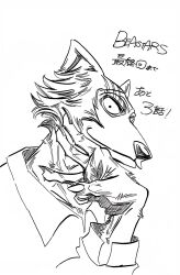 legoshi from beastars