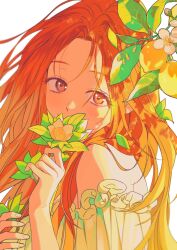 inoue orihime from bleach