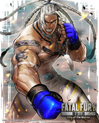fatal fury fan art