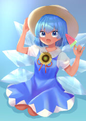 cirno from touhou