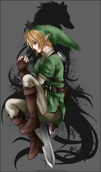 link from nintendo by rueme