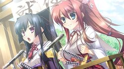 appare! tenka gomen fan art