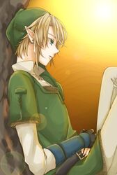link from nintendo