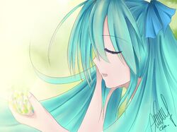 hatsune miku from vocaloid