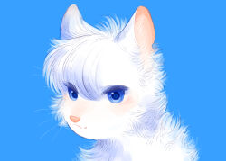cloudtail from warrior cats by neko gokoro
