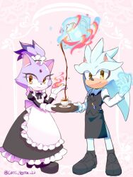blaze the cat from sonic (series)