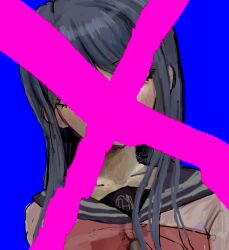 maizono sayaka from danganronpa: trigger happy havoc