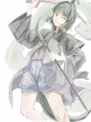 adagumo no saragimaru from len'en