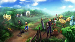 chocobo from final fantasy
