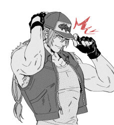 terry bogard from fatal fury