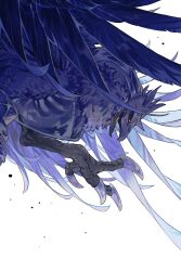 corviknight from pokemon by wulie errr