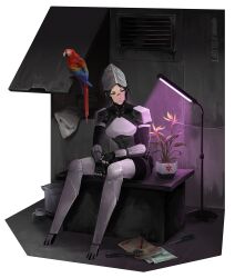 ara (signalis) from signalis
