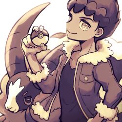 dubwool from pokemon