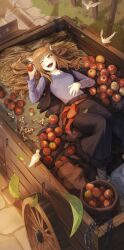 holo from spice and wolf