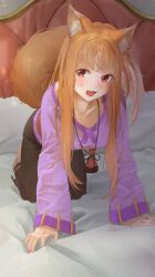 holo from spice and wolf