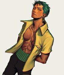 roronoa zoro from one piece