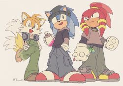 knuckles the echidna from sonic (series)