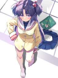 ichinose kotomi from clannad by akayama yukihe