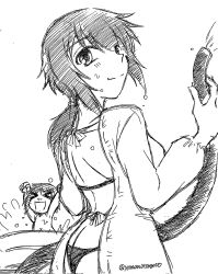 nishizumi miho from girls und panzer