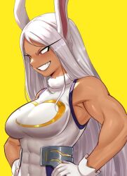 mirko from boku no hero academia