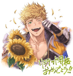 vane (granblue fantasy) from granblue fantasy