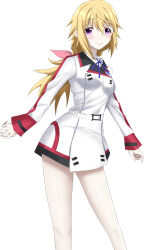 charlotte dunois from infinite stratos