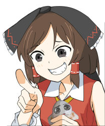 hakurei reimu from cookie (touhou)