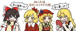 aki minoriko from touhou