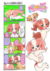 inukai iroha from precure by @est@