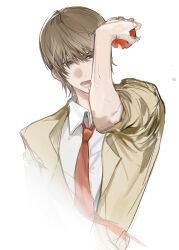 yagami light from death note