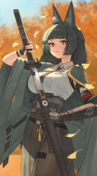 hoshimi miyabi from zenless zone zero