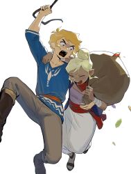 link from the legend of zelda