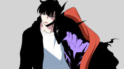 sung jin-woo from solo leveling