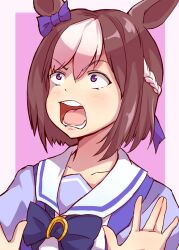 special week (umamusume) from umamusume by kazetuki