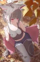 kazusa (blue archive) from blue archive